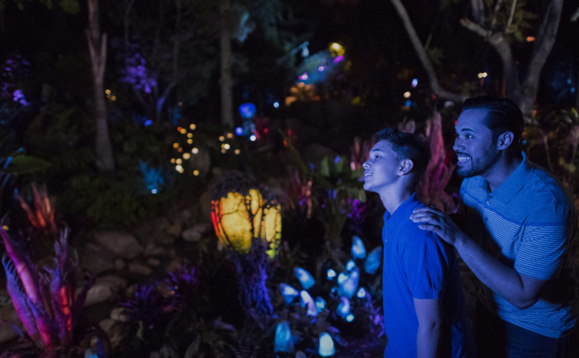 Pandora – The World of Avatar at Disney’s Animal Kingdom