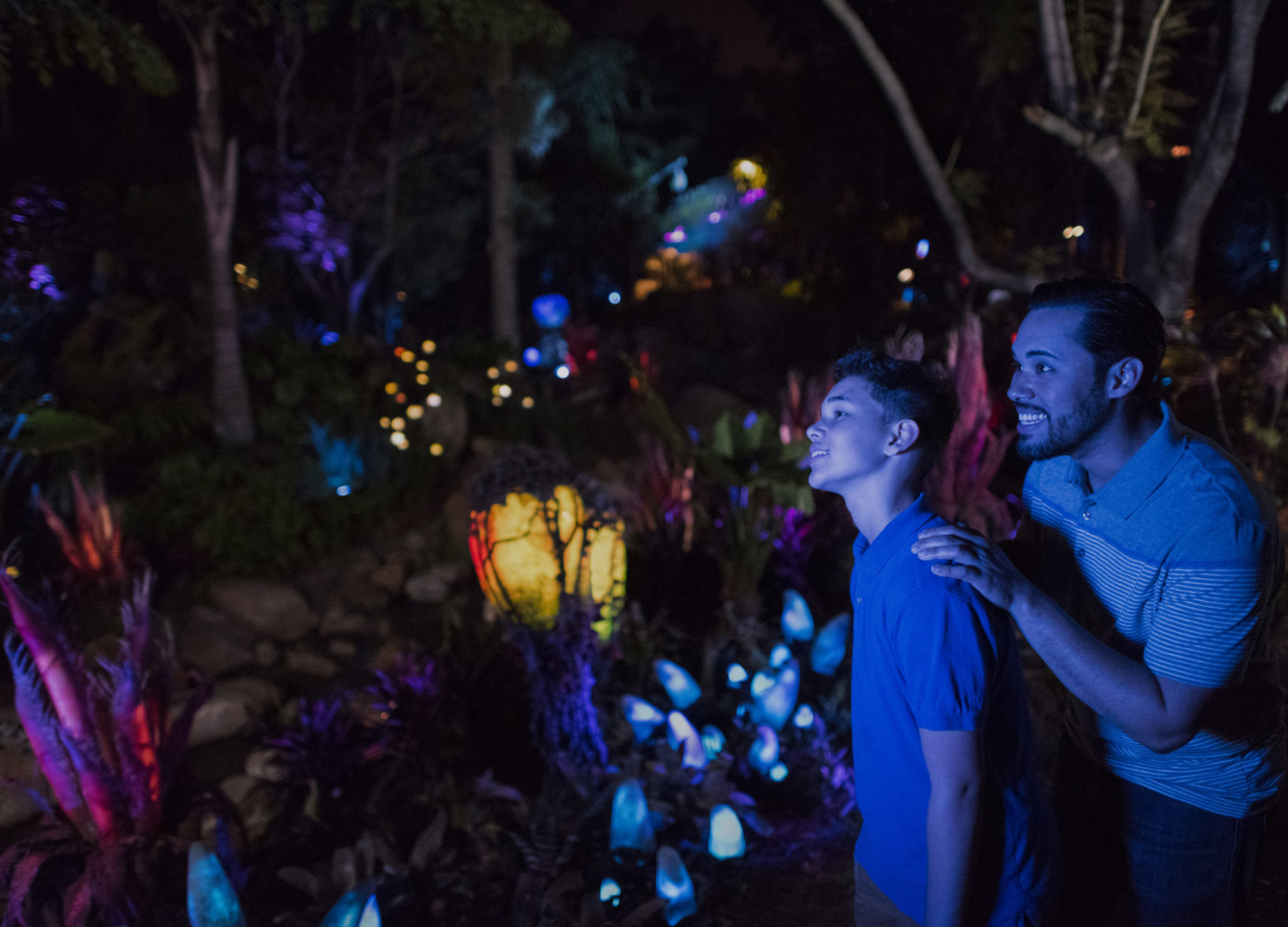 Pandora – The World of Avatar at Disney’s Animal Kingdom